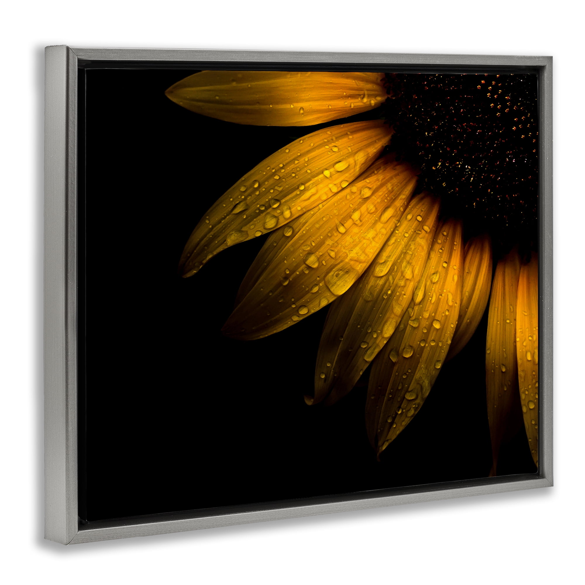 Water Droplets on Sunflower Gray Framed Floater Canvas Wall Art, design by Brian Carson Photography