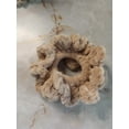 thumbnail image 3 of Nylo & Co.  Velvet Crochet  Scrunchies in Vanilla - Set of 2, 3 of 4