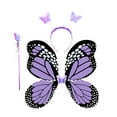 thumbnail image 3 of Runquan Fairy Costume Set Girls Butterfly Stick Halloween for Theme Parties Carnivals, 3 of 8