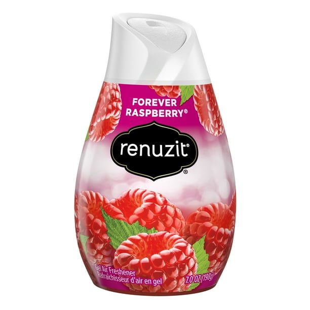 Renuzit Solid Gel Air Freshener Cone, Forever Raspberry, 1 Cone