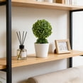 thumbnail image 3 of Artificial Potted Plant Money Tree Bonsai In Round Pot Green Mini Fake Plant For Home Desk Tabletop Decor Indoor Office Decor, 3 of 6