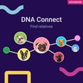 thumbnail image 5 of Koko DNA Test for Dogs | Advanced Range | 175 Breeds, Health & Traits Reports | All Fees Included, 5 of 10