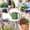 garden watering can for balcony Under $5 a3, variant on Vacemry Watering Can Liter, Portable Indoor Outdoor Plants Waterer, Small Garden Watering Can for Bonsai Plants Patio Balcony Home Landscaping, Long Spout Design for Precise Watering