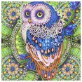 thumbnail image 1 of 5D bricolaje forma especial diamante pintura búho punto de cruz Craft Kit hogar pared artes Hugtrwg Para estrenar, 1 of 9