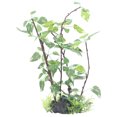 thumbnail image 2 of Plantas artificiales para acuario NikouMX Innovación moderna, 2 of 8
