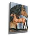 thumbnail image 2 of Epic Graffiti 'Kiger Mustang' by Barbara Keith, Canvas Wall Art, 12"x16", 2 of 8