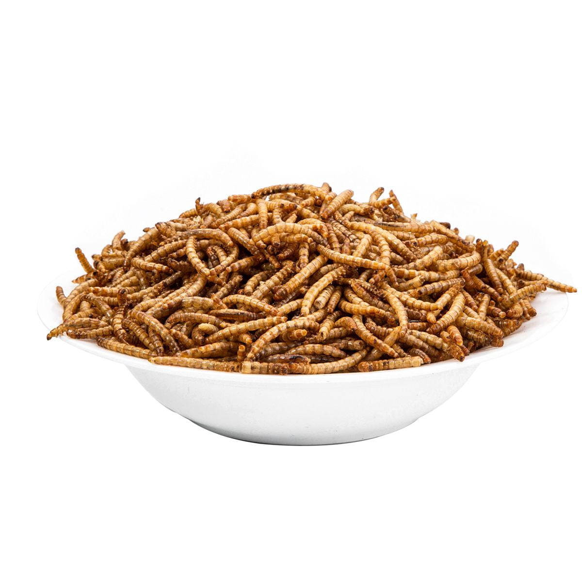 Amzey 2 Pack 1 lb Dried Mealworms for Chickens, Pet Birds, Chicken Feed, Bluebirds Food, Parakeet Food, Wild Birds Food, 2 lbs Total