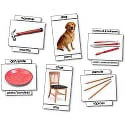 North Star Teacher Resource Basic Vocabulary Language Cards 9008