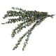 thumbnail image 1 of Toystoory 10PCS/Bundle Green Leaf Bouquet Dried Flower Real Home Branches Preserved Fresh Eucalyptus Shelf Decoration Long Life Decoración del hogar 40-50cm Toystoory HA039741-02, 1 of 6