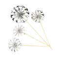 thumbnail image 2 of fastboy 4 Pcs Éventails en Papier Décoration Fête d'Anniversaire Ensemble de Décorations de Gâteau Doré Coloré Rond, Argent, 2 of 5