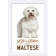thumbnail image 1 of Maltese - Life is Better - White Background - Lantern Press Artwork (12x18 Giclee Art Print, Gallery Framed, White Wood), 1 of 1