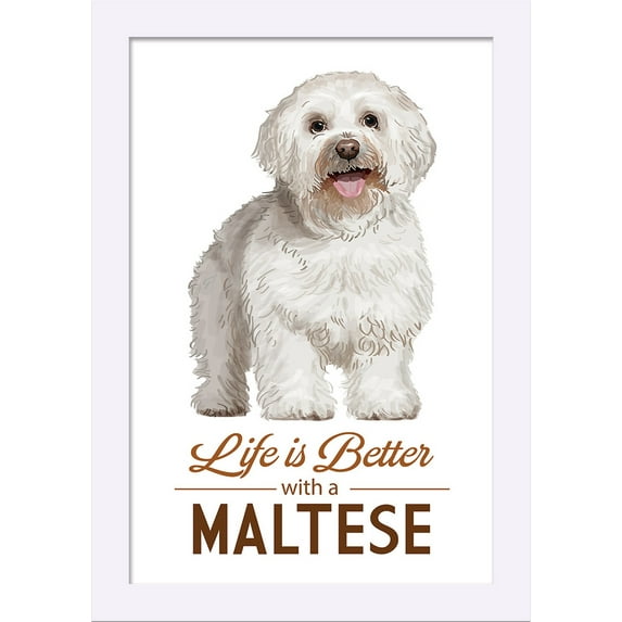 Maltese - Life is Better - White Background - Lantern Press Artwork (12x18 Giclee Art Print, Gallery Framed, White Wood)