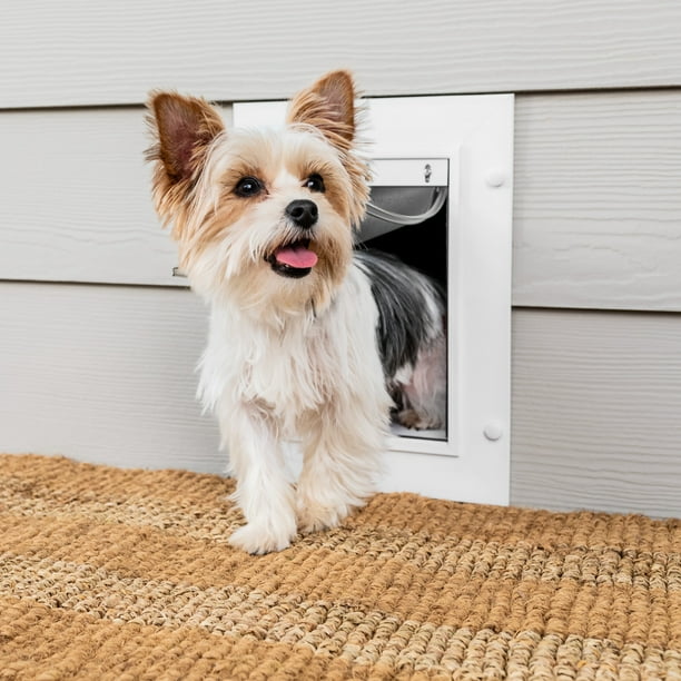 PetSafe Wall Entry Pet Door with Telescoping Tunnel, Small, for Pets Up