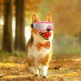 thumbnail image 5 of Pet Glasses for Cats Stylish Sun Eyewear with Adjustable Straps Ideal for Driving and Outdoor Activities Eye, 5 of 7