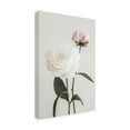 thumbnail image 4 of Pictufy Studio III 'Peony 12' Canvas Art - 22 x 32 Inches, 4 of 4
