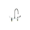 Chicago Faucets 1100-Gn8ae3-317Ab Commercial Grade High Arch Kitchen Faucet - Chrome