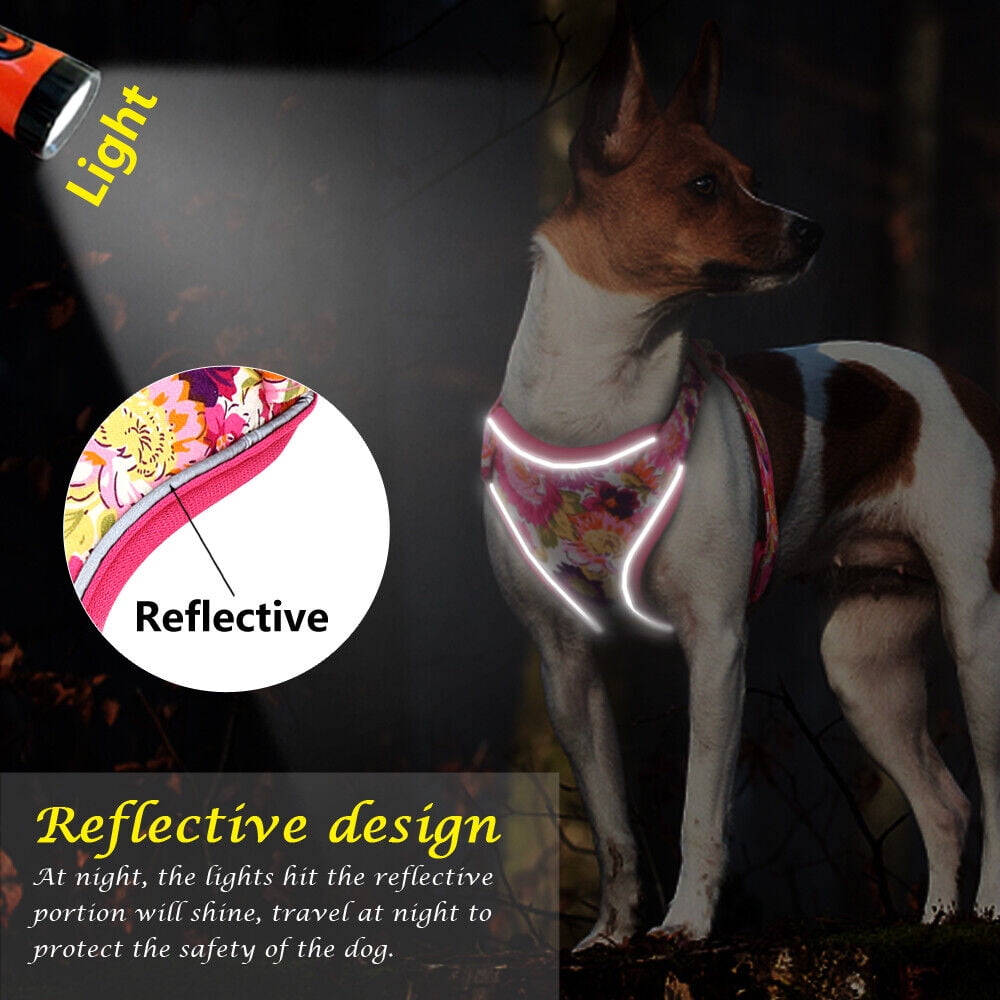 Didog 3pcs Personalized Dog Collar & Walking Leash & Soft Mesh Vest Harness Nylon S-L