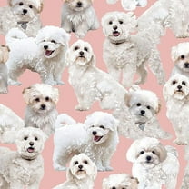 FREE SHIPPING!!! Maltipoo Design Printed on 100% Cotton Quilting Fabric for DIY Projects by the Yard (Pink, White, Black)