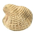 thumbnail image 3 of FRCOLOR Drawer Knob Furniture Knob Door Handle Brass Shell Shaped Knob Decorative Drawer Handle, 3 of 8