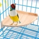 thumbnail image 1 of Pet Bird Perch Platform Stand Madera para animales pequeños Loro Periquito Conure Cockatiel Budgie Gerbil Rata Ratón Chinchilla Hamster Jaula Accesorios Ejercicio Juguetes Sector MFZFUKR WRMH-213, 1 of 7