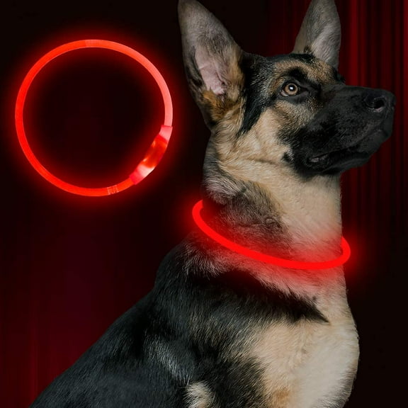 Led Dog Collar, BSEEN USB Rechargeable Flash Dog Necklace Light, Pet Safety Collar Makes Your Beloved Dogs Be Seen at Night for Small Medium Large Dogs-Red
