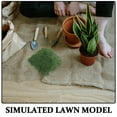 thumbnail image 3 of IDEANATEGRATE Grupos De Y Flores Artificiales Realistas Para Modelismo Y De Paisajes, 3 of 6
