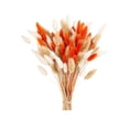 thumbnail image 3 of Cheapark 60 Pieces Bunny Tail Preserved Flowers Dried Flower Stems Decorative Florals for Vase Arrangement Home Decor Gift, 3 of 7