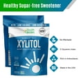Health Garden Real Birch Xylitol, 10 lb