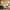 Black, variant on Vintage Floor Lamp 3-Color living room lighting Golden