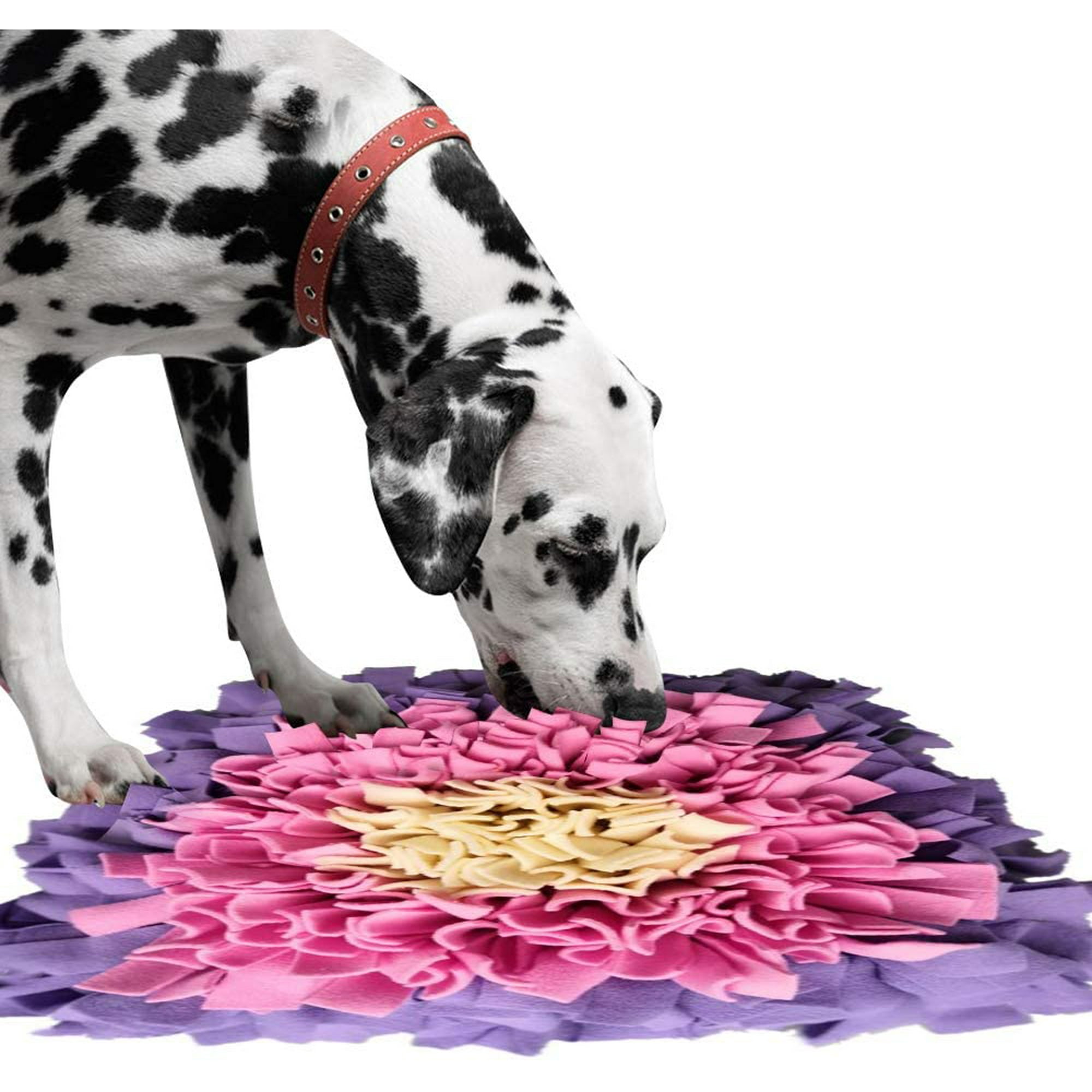 Sniffing Carpet Dog Smelling Exercise Sniffing Blanket Feeding Mat Training Mat for Pet Dogs Cats