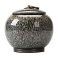 thumbnail image 1 of Kiln Change Tea Canister Ceramic Medium Storage Sealed Green Black Tea Loose Leaf Tea Canister Fresh Tea Set, 1 of 6