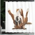 thumbnail image 3 of Ambesonne Boxer Dog Shower Curtain, Funny Playful Puppy Image, 69"Wx75"L, Pale Caramel Dark Brown, 3 of 4