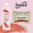 thumbnail image 5 of Suave Long Hair Strong Hair Conditioner wth Amino Acid Complex, 16.5 oz, 5 of 12