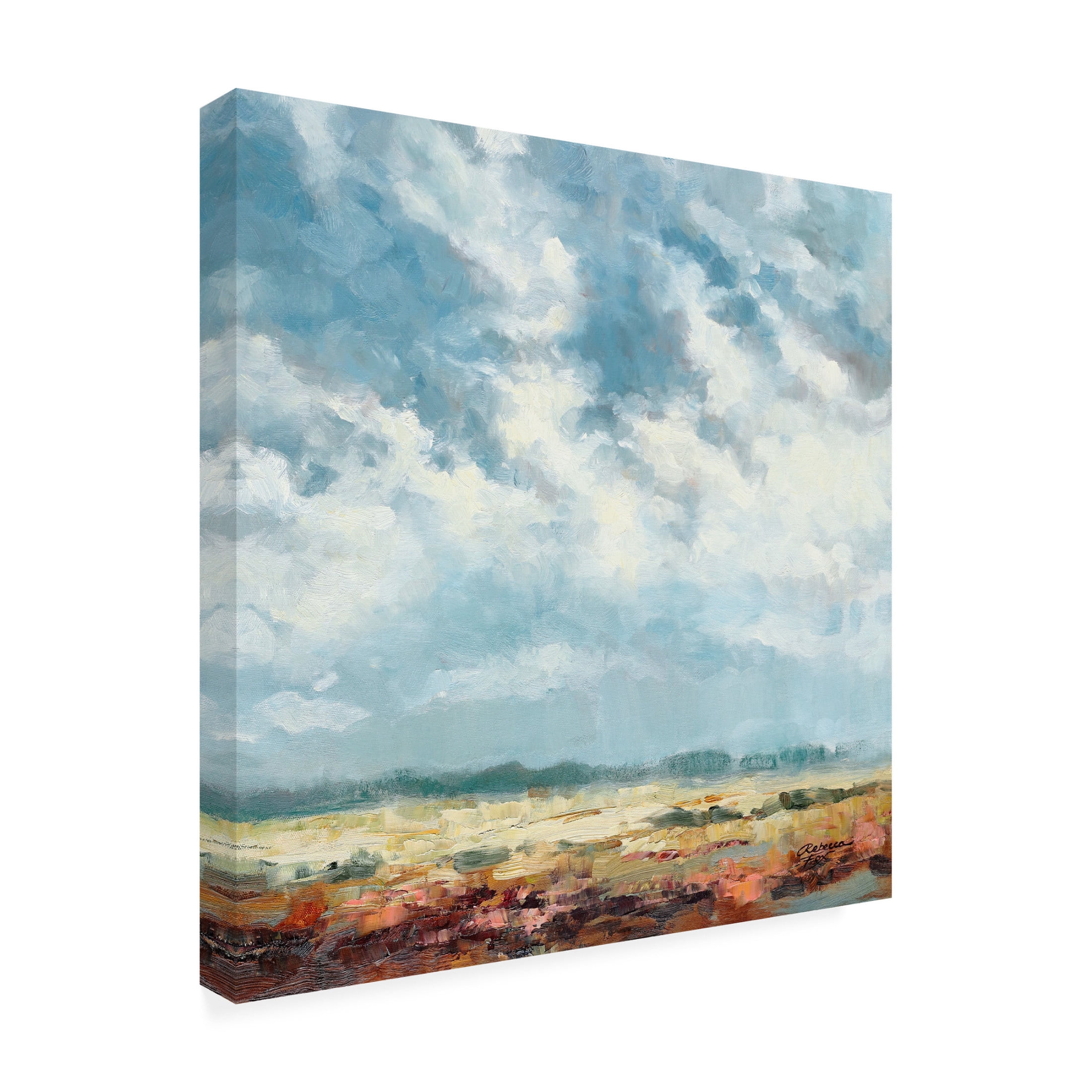 Canvas Wall Art - Rebecca Fox 'Cloudy and Blue' Wall Art for Living Room, Bedroom, or Office Décor by Trademark Fine Art - 24 x 24 Inches