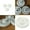 3 Pack, variant on US3-6Pc 41A2817 DRIVE GEAR For Chamberlain Liftmaster Sear Craftsman Garage Door