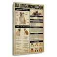 thumbnail image 1 of Bulldog Dog Knowledge Poster Educational Wall Art Infographic Poster Pictures Contemporary Modern Decorations for Living Room Artwork for Bedroom Unframed 20x30 in, 1 of 5