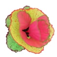 thumbnail image 5 of Decoración de Coral de simulación, pecera fluorescente, plantas, decoración para paisaje, colorida, 5 of 5