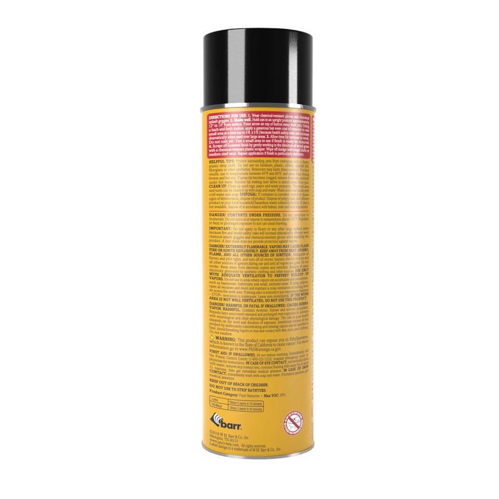 Jasco EJPR502SC Premium Paint & Epoxy Remover, 16-oz. Aerosol - Quantity 1