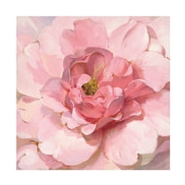 Trademark Fine Art 'Blushing Peony' Canvas Art by Danhui Nai