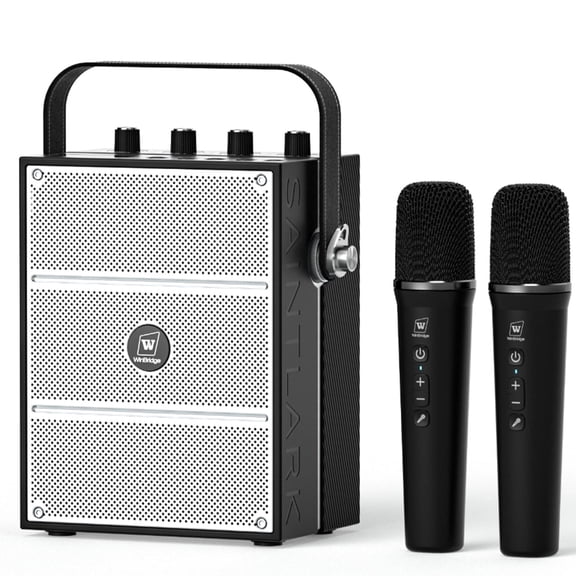 HAOWORKS 100W Powerful Voice Amplifier with 2 Wireless Microphones, Big Pro Sound Portable Speaker with Microphone, Bluetooth Speaker PA System Karaoke Machine Support BT/USB/TF Card/Aux/Guitar S99