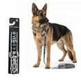 thumbnail image 1 of Correa NFL para perro Las Vegas Raiders 100% oficial, 1 of 6