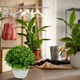thumbnail image 4 of TechWave Centerpiece In Pot Mini Decorative Potted Topiary Shrubs For Home Indoor Room Decoration Flower in Vase Doorway Arch Bridal for Rent of Roses Large Christmas Centerpiece Cradle for Baby, 4 of 4