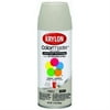 Krylon K05352007 ColorMaster Paint + Primer, Satin, Pebble, 12 oz.