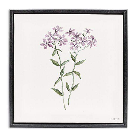 Stupell Industries French Country Purple Phlox Botanical Black Floating Frame Canvas Art, 18 x 18, by Cindy Jacobs