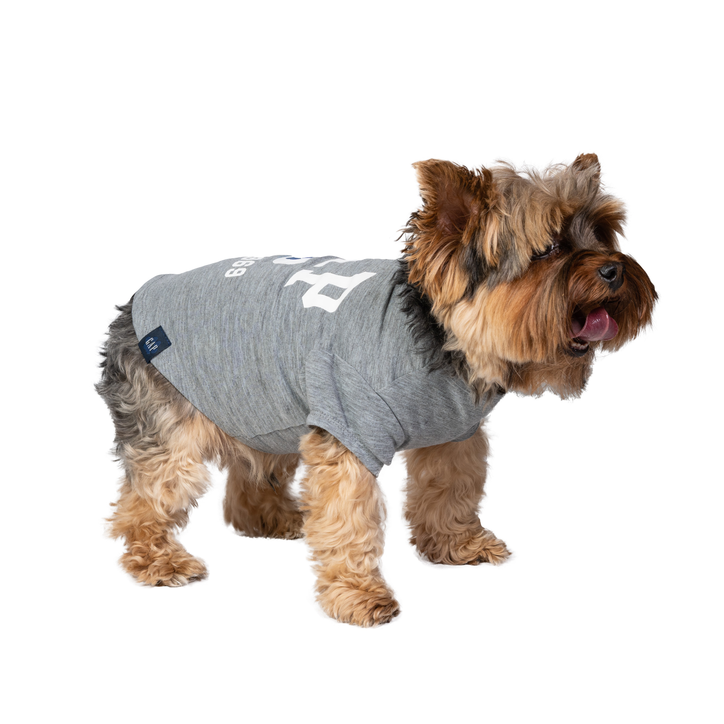 Gap Pet, Dog and Cat Clothes, Classic Logo Paw Print Gap Dog TShirt