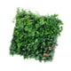 thumbnail image 2 of Panel de Pared de Plantas Artificiales Macarena Estilo C, 2 of 8