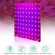 thumbnail image 5 of Luces LED para cultivo de plantas de interior, panel de espectro completo de 12 W, lámpara para cultivo de plantas, 5 of 9