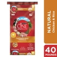 thumbnail image 1 of Purina ONE Natural Dog Food, SmartBlend Chicken and Rice Dog Food Formula - 40 lb. Bag, 1 of 1