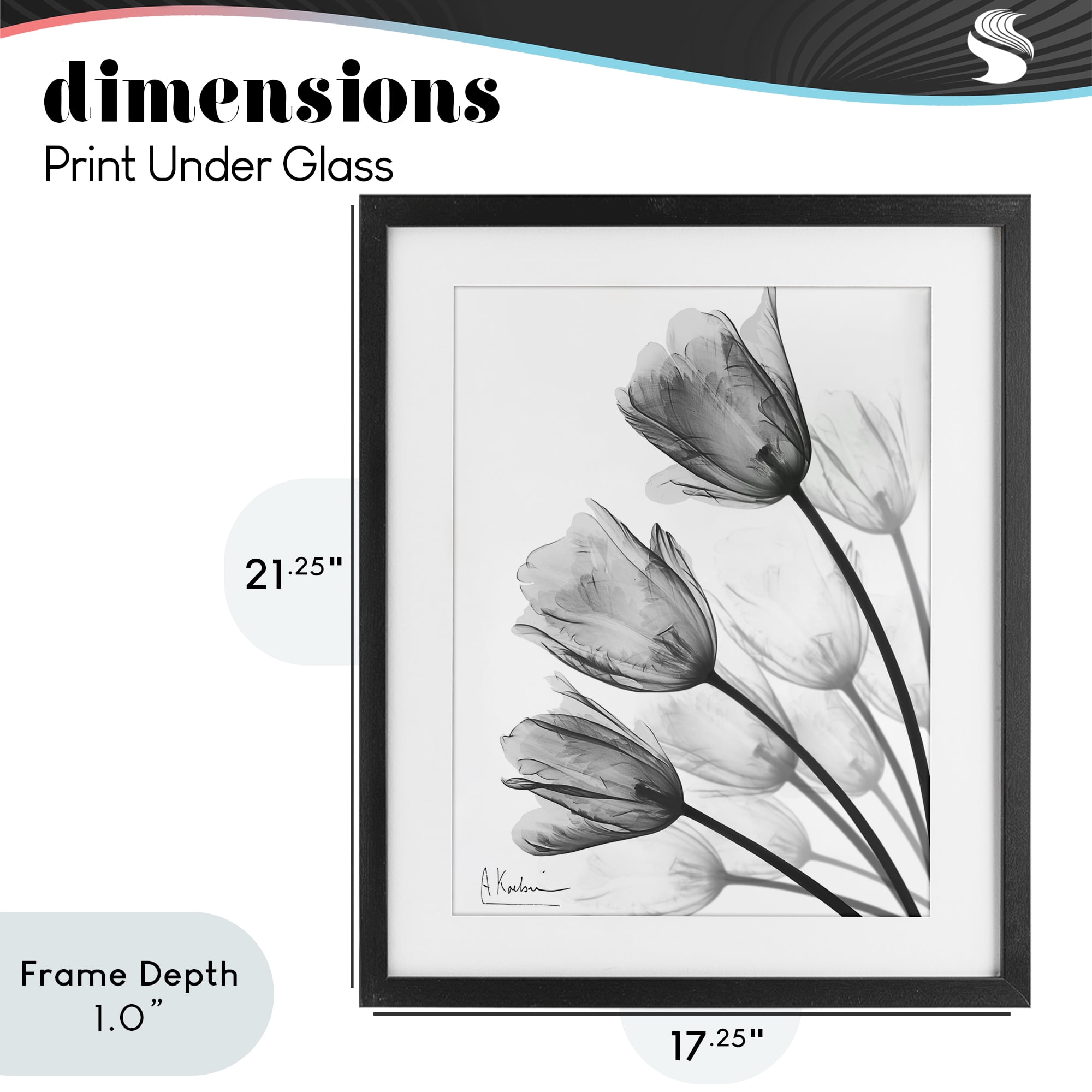 Stupell Industries Minimalist Tulip Fan Black Framed Print Under Glass, design by Albert Koetsier