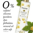 thumbnail image 3 of Pantene Sulfate Free Shampoo, Damage Repair Shampoo with Castor Oil, Color Safe, 9.6 oz, 3 of 13
